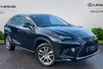 2019 Lexus NX