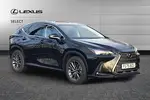 2025 Lexus NX