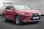 2019 Lexus NX