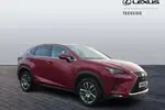 2019 Lexus NX