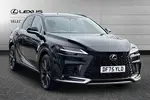 2025 Lexus RX