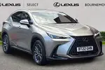 2022 Lexus NX