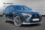 2025 Lexus NX