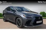 2025 Lexus NX