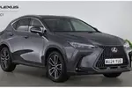 2024 Lexus NX