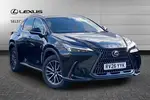 2026 Lexus NX