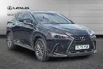2025 Lexus NX