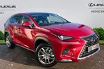 2020 Lexus NX