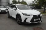2025 Lexus NX