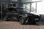 2026 Lexus NX