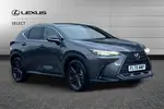 2025 Lexus NX
