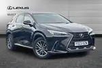 2023 Lexus NX