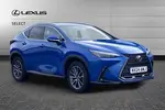 2024 Lexus NX