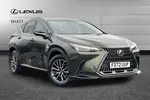 2022 Lexus NX