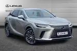 2024 Lexus RX