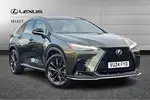 2024 Lexus NX