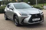 2024 Lexus NX