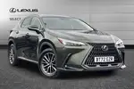 2023 Lexus NX