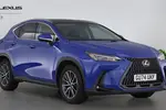 2024 Lexus NX