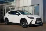 2025 Lexus NX