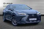 2023 Lexus NX