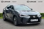2025 Lexus UX