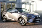 2019 Lexus NX