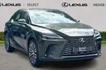 2025 Lexus RX