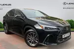 2023 Lexus NX