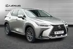 2025 Lexus NX