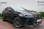 2022 Lexus NX