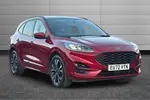 2022 Ford Kuga