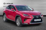 2019 Lexus NX
