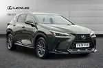2024 Lexus NX