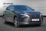 2024 Lexus RX