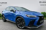2024 Lexus NX