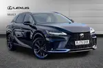 2025 Lexus RX