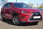 2019 Lexus NX
