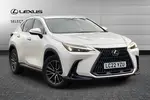 2022 Lexus NX
