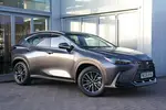 2026 Lexus NX