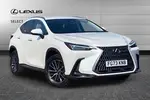 2023 Lexus NX