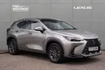 2023 Lexus NX