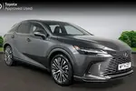 2025 Lexus RX