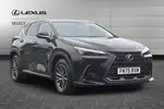 2025 Lexus NX