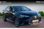 2022 Lexus NX 450h+ 2.5 5dr E-CVT [Premium Pack]