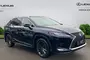 2022 Lexus RX 450h 3.5 5dr CVT [Premium pack]