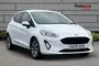 2020 Ford Fiesta 1.0 EcoBoost Hybrid mHEV 125 Trend 5dr